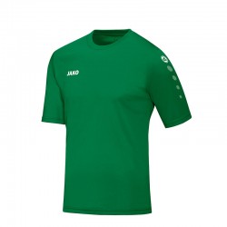 Trikot Team KA sportgrün
